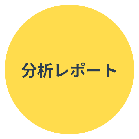 フォーム分析レポート EFO 施策